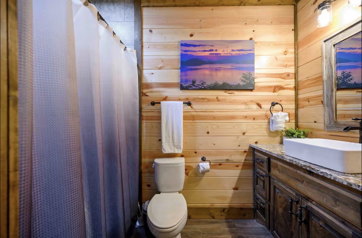 Sound of Sunshine — en-suite bath with shower-tub combo and lake sunset art