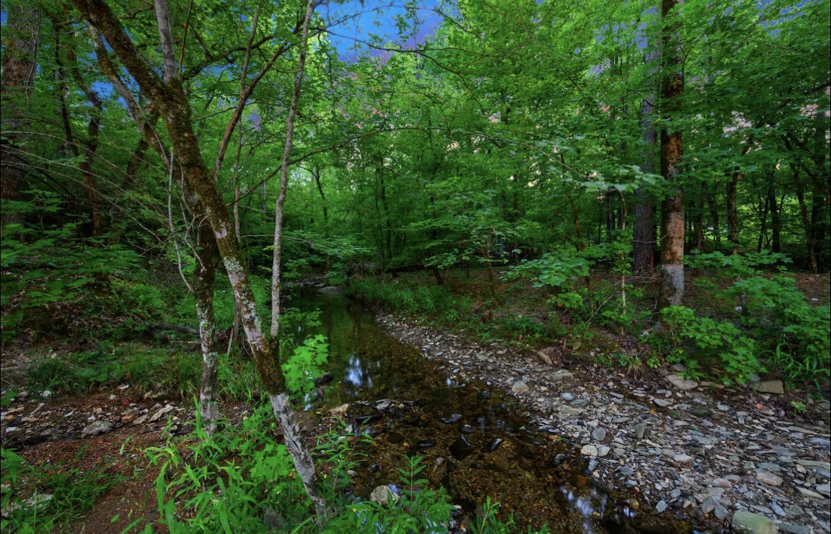 As Good As It Gets — babbling creek through the woods